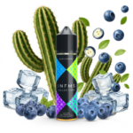 KAKTUSBERRY INFMS SELECTION LONGFILL 10/60ML 